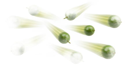 Fresh green fruit suspended in dynamic motion with captivating blur, creating an energetic and vibrant visual on a clean white background, ideal for healthy lifestyle and food themes