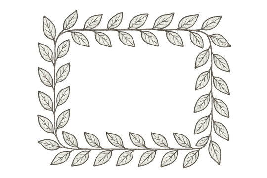 Botanical laurel wreath border creating a decorative frame for your design. Transparent background enhancing versatility