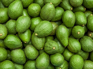 Hass avocados in horizontal overhead shot