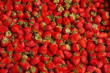 Fresh red strawberries in full horizontal frame