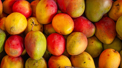 Fresh mangoes in horizontal close-up