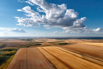 Aerial view of golden agricultural fields stretching to the horizon under a dramatic blue sky
