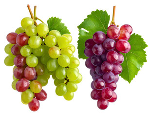 Fototapeta premium Fresh mixed cluster of ripe red and green grapes with natural shine, isolated on transparent background, PNG