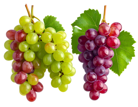 Fresh mixed cluster of ripe red and green grapes with natural shine, isolated on transparent background, PNG