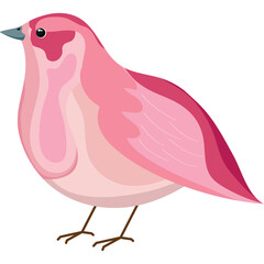 Pixel Art Pink Bird Facing Left with Brown Legs and Light Blue Beak on Transparent Background