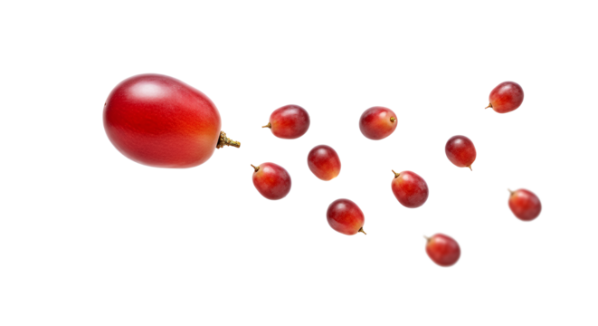 Vibrant red grape bursting into smaller, juicy pieces, creating a dynamic visual effect on a crisp white background, highlighting freshness and natural dispersal