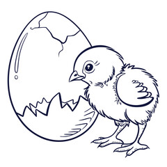 Cute chick hatching from egg isolated on for easter