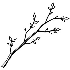 Simple branch with small leaves isolated on