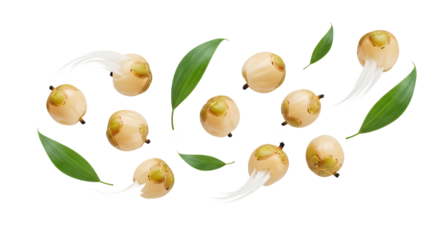 Elegant Arrangement of Job's Tears Seeds with Vibrant Green Leaves on White Background