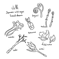 春の山菜イラストセット　黒一色の線画イラスト