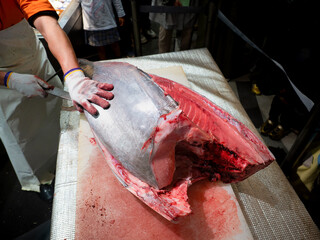 本マグロの解体ショー