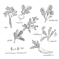 春の七草イラストセット　水墨画風の手描きイラスト