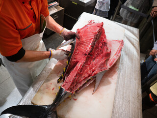 本マグロの解体ショー