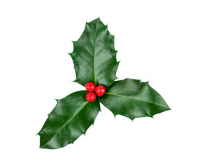 holly and red berries