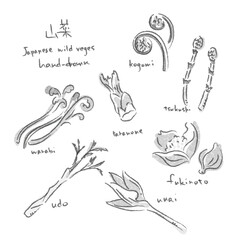 Spring wild vegetable illustration set - Hand-drawn illustrations in ink painting style