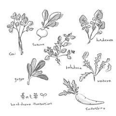 Spring Seven Herbs Illustration Set - Hand-drawn illustrations in ink painting style
