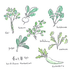 Spring Seven Herbs Illustration Set: Hand-drawn watercolor illustrations