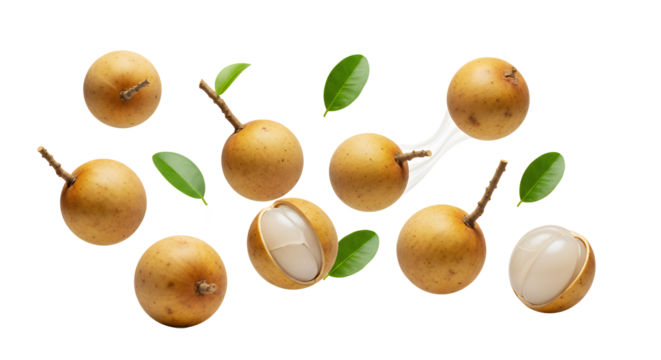 Delicious Longan Fruits with Green Leaves, Fresh and Healthy Tropical Produce Isolated