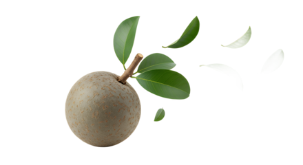 A single ripe sapodilla fruit with leaves falling around it on a white background, representing natural sweetness and healthy eating