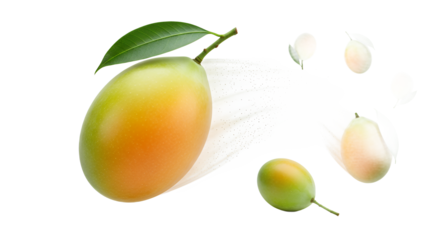 Vibrant and juicy Marian plums, also known as mango plums or maprang, captured in dynamic motion, showcasing their fresh appeal and tropical sweetness against a clean white background