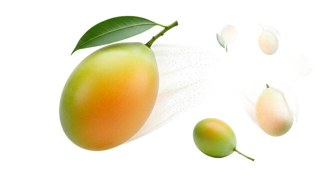 Vibrant and juicy Marian plums, also known as mango plums or maprang, captured in dynamic motion, showcasing their fresh appeal and tropical sweetness against a clean white background