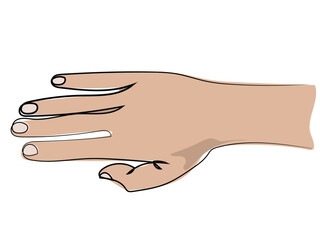 Hands in continuous line drawing