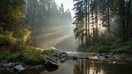 A misty morning in a forest with rays of light piercing through the fog and a calm river in the foreground
