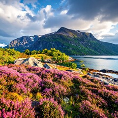 Picturesque Norwegian Landscape with Heather and Mountain Views.