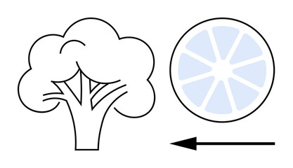 Nutrition concept. Broccoli and citrus fruit outline with arrow highlighting nutrition and health focus. Perfect for food, diet, healthy living, organic produce, wellness