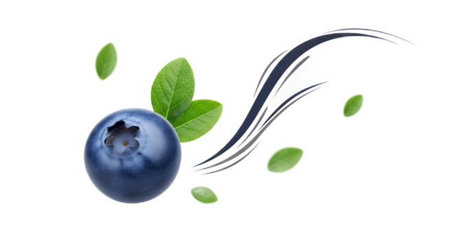 Fresh Blueberry Burst with Leaves and Artistic Swirls on White Background