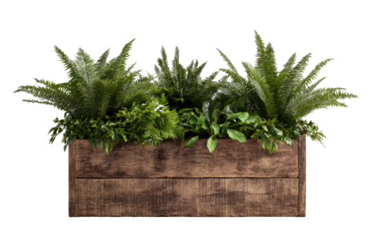 Rustic wooden planter box filled with lush greenery