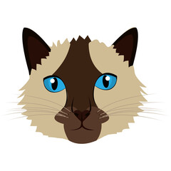 Pixel Art Siamese Cat Face With Blue Eyes And Brown Markings On Transparent Background Minimalist Design