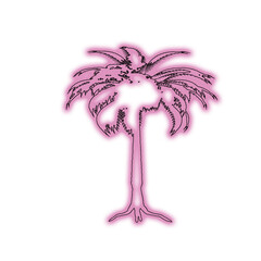 Vibrant pink neon palm tree silhouette on black background