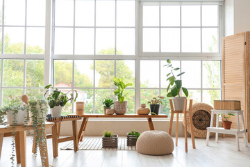 Interior of light room with wooden bench and green plants
