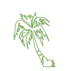 Glowing palm tree silhouette illuminated by lights on black background