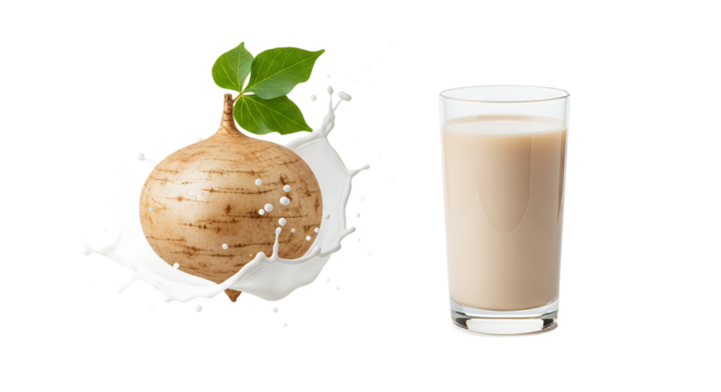 Nutritious Jicama Root with a Refreshing Splash of Plant-Based Milk, Pictured Alongside a Healthy Beverage Glass, Highlighting a Wholesome Vegan Drink Option for Wellness and Balanced Lifestyles
