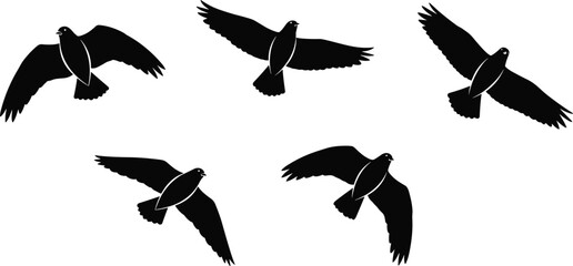 Set of flying bird silhouettes, black doves in motion isolated on white background for peace symbol, logo design, and freedom concept vector art
