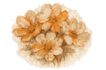 Vintage sepia watercolor flowers drawing on transparent background, bouquet sketch art, beige retro floral illustration