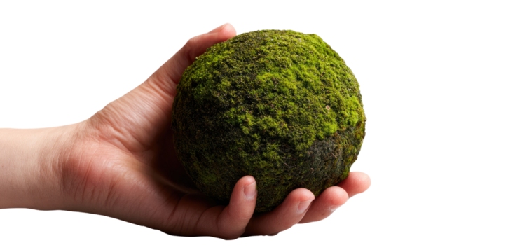 Hand holds sphere of moss