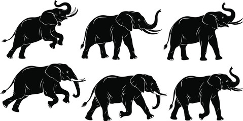 Vector collection of black African elephant silhouettes, wild animal walking and running poses, safari wildlife icons, zoo mammal figures for nature design, isolated set