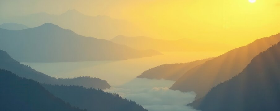 Gentle ombre, gray to yellow; cool & warm tones merge subtly , illustration, color