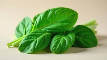 Fototapeta premium A vibrant bunch of fresh spinach leaves, showcasing their rich green hue and delicate texture, ready for culinary use or nutritional benefit.