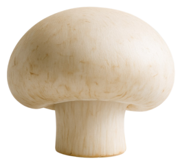 Single White Button Mushroom with Visible Gills on White Background champignon edible isolated on a transparent background