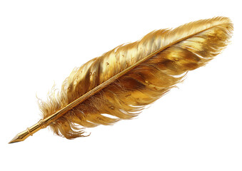 Gold feather quill, elegant and stylized