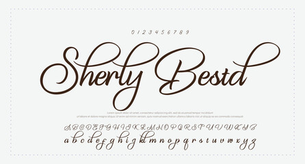 signature Font Calligraphy Logotype Script Brush Font Type Font lettering handwritten 