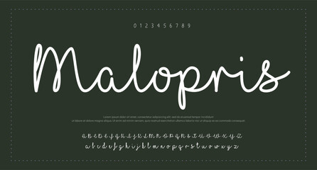 signature Font Calligraphy Logotype Script Brush Font Type Font lettering handwritten 