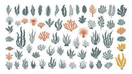 Underwater World A Collection of Hand-Drawn Sea Plants and Corals for Creative Design