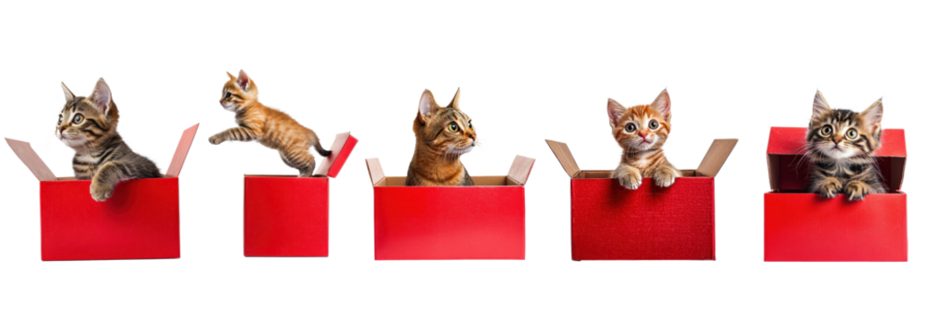 Five kittens in red boxes with one jumping out.