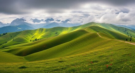 Soft and misty landscape of mountains covered with soft grass 