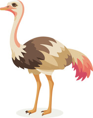 Obraz premium vector illustration of cartoon ostrich